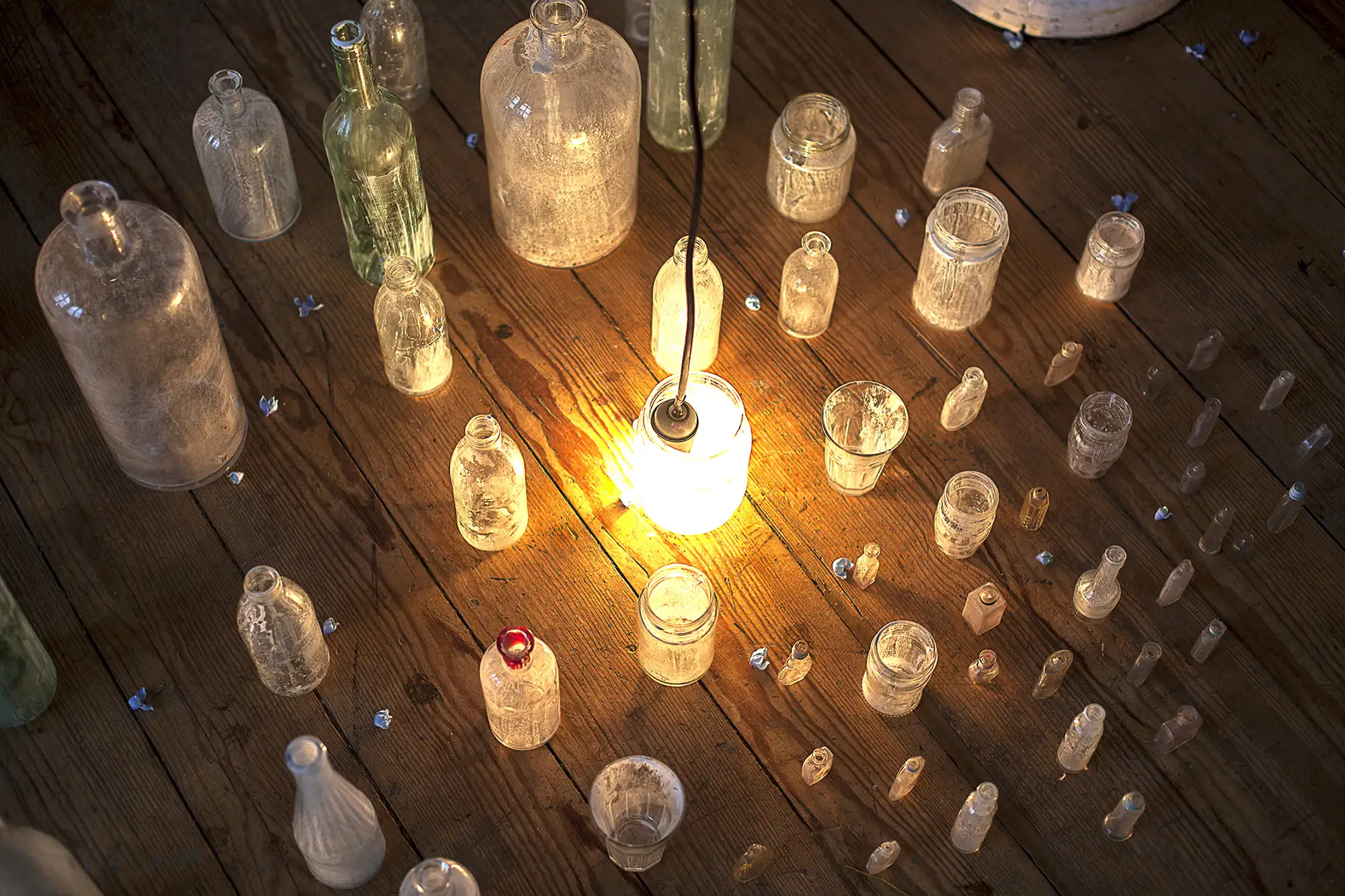 chasing little pasts_TWS detail